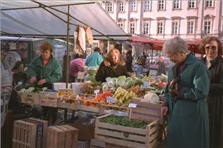 small_9400 1223 cew polandIMG0091.webp